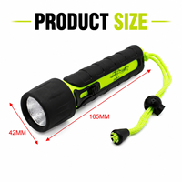 Lampe Torche de Plongée Étanche 30m, Projecteur Sous-Marin