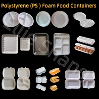 Nouvelle machine de production de boîtes alimentaires en mousse à clapet 2026, petite ligne de production de boîtes à lunch jetables en plastique PS