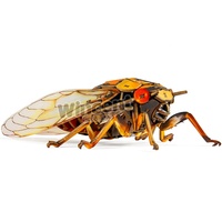 Rompecabezas 3D de Cicaña de Madera Wincent, Kit de Manualidades DIY de Insectos, Juguete Educativo STEM, Modelo Biológico Realista, Regalo de Naturaleza para Niños y Adultos