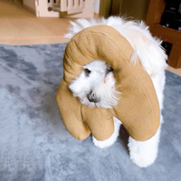 Dragon Jouet pour chien Chat Pet Cotton Safe Dog Chew Toys Puppy Custom Super Tough Dog Toys Cute for Pets
