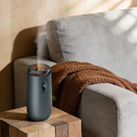 Nébuliseur Métallique Rechargeable sur Batterie, Logo Personnalisable, Diffuseur d'Aromathérapie Sans Eau pour Voiture, Bureau, Maison