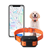 Traceur GPS pour animaux de compagnie 4G ST23, étanche IP67, avec lampe de poche, longue autonomie, positionnement précis, sans frais de plateforme