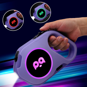 Sáng tạo LED Pet Dây xích có thể thu vào 360 ° xoay USB sạc và biểu tượng tùy chỉnh tùy chọn - Product Image 1