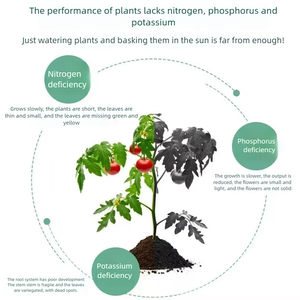 Phân bón tổng hợp <span class=keywords><strong>NPK</strong></span> dạng hạt 16-16-16 bán buôn - Product Image 3