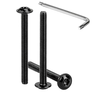Vis à tête bombée à six pans creux Torx M4 x 35 mm en acier inoxydable A2/V2A, oxyde noir, filetage complet, avec clé Torx T20 - Product Image 1