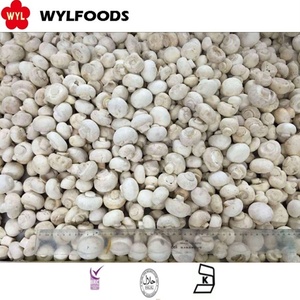 Champignon blanc congelé Champignon congelé de haute qualité - Product Image 2