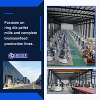 Ligne de production de granulés de bois à succès : Machine de fabrication de granulés de biomasse à matrice annulaire verticale