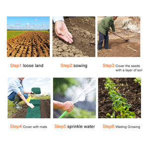 Graines de plantes Tapis de croissance des graines d'herbe Maison Jardin Pomme de terre Serre Légumes Plantation <span class=keywords><strong>Engrais</strong></span> Tapis Hydratant Germination Pad - Product Image 6