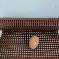 Tapis de nidification pour poules pondeuses, tapis de cage en PVC, tapis en herbe artificielle, tapis de paille pour la ponte des poules et du bétail