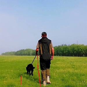 Ropa deportiva portátil antiagarrotamiento, traje de mordedura para adiestramiento de manejador, chaleco entrenador de mascotas, conjunto de Collar para perros y perros - Product Image 6