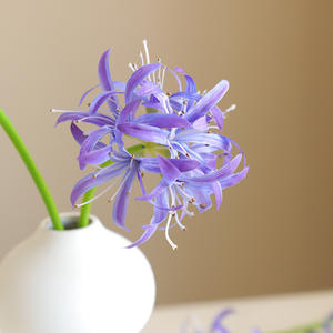 2 tallos de araña artificial lirio flores <span class=keywords><strong>Lycoris</strong></span> <span class=keywords><strong>Radiata</strong></span> para la decoración del jardín del hogar - Product Image 5