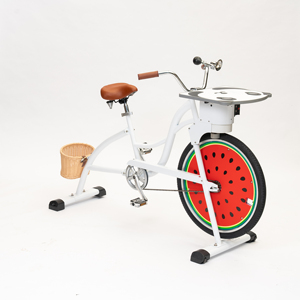 EXI New Design Hybrid Bicycles Pedal Power Generator <strong>Bike</strong> For Human Powered Mobile Phone <strong>Charging</strong> <strong>Bike</strong> Pedal Energy - Product Image 4