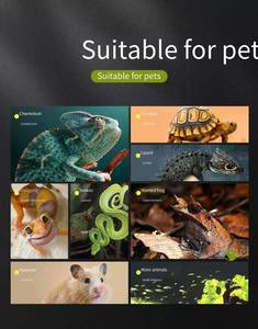 Kristall klares Paludarium Hoch transparentes Glaster rarium Flucht sicheres Design Umwelt freundlich für die bio aktive Vivarium-Landschafts gestaltung - Product Image 5