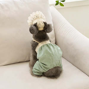 Ropa para perros Mono con ribete de encaje verde para perros pequeños Ropa para perros medianos y grandes Chihuahua <span class=keywords><strong>Shih</strong></span> <span class=keywords><strong>Tzu</strong></span> Yorkshire Terries Ropa - Product Image 5
