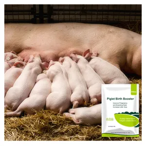 Porca uso produto aumentar maca tamanho Leitão nascimento impulsionador novo nascido piggy boost duozibao