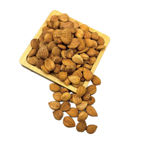 Nueces de albaricoque amargo secas con sabor natural de alta calidad buen precio al por mayor - Product Image 1