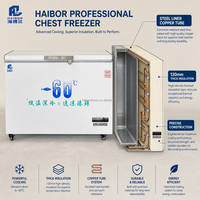 Haibor Komersial -60 ℃   Lemari Pendingin Ultra Low Temperature dengan Lapisan Baja dan Tabung Tembaga, Tipe Horizontal untuk Makanan Laut, Grosir OEM