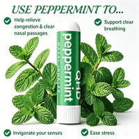 Inhalateur nasal à la menthe poivrée certifié GMP ISO, pack varié, saveur synthétique, longue durée, écologique, qualité supérieure, MSDS COA disponible