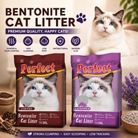 99.9% Pasir Alami Ramah Lingkungan Bebas Debu Bentonit Pasir Kucing Penggumpalan Cepat Pengendalian Bau Sodium Bentonit Pasir Kucing untuk Kucing