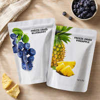 Op maat gemaakte full colour bedrukte staande ritssluitende zak van herbruikbaar plastic voor verpakkingen van gevriesdroogd fruit.