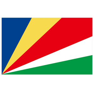 Под заказ 90x150 см 100% полиэстер Южно-Африканский флаг баннер различных стран Национальный континент флаги для спортивного фестиваля - Product Image 4