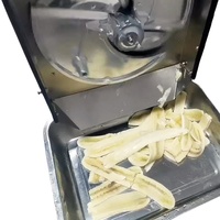 Elektrische Weegbree & Citroen Bananensnijder Multi-Chips Gesneden Machine Core Motor Component Voor Restaurants Voedingswinkels