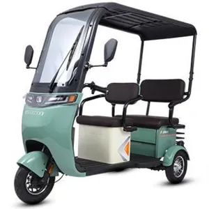 Amazon tricycles électriques fermés à 3 roues moto avec cabine 2024 avec siège passager pour rickshaw handicapé voiture à batterie