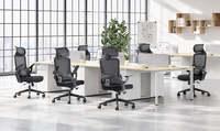 Chaise de bureau ergonomique avec accoudoirs rabattables réglables et support lombaire ajustable, chaise en maille moderne à excellent rapport qualité-prix