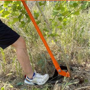 Strumento di tiratura ad <span class=keywords><strong>alberello</strong></span> di grandi dimensioni resistente asta ad alta leva per albero per vasi di fiori e fioriere - Product Image 4