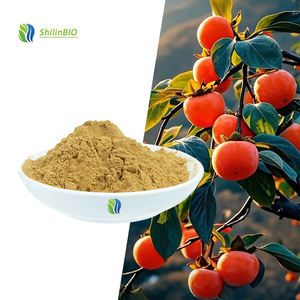 SLBIO fournit <span class=keywords><strong>de</strong></span> la poudre d'extrait <span class=keywords><strong>de</strong></span> fruit <span class=keywords><strong>de</strong></span> kaki <span class=keywords><strong>de</strong></span> haute qualité 10:1, qualité alimentaire - Product Image 1