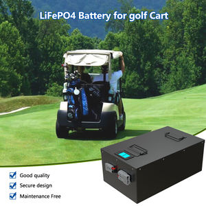 48 볼트 골프 카트 배터리 클럽 자동차 충전기 16S 51.2v 100ah 150ah 200ah Lifepo4 배터리 (파란색 치아) - Product Image 6