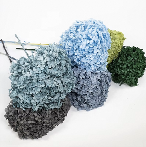 Venta al por mayor de Hortensias Azules Congeladas Secas, Cabezas de Flores de <span class=keywords><strong>Hortensia</strong></span> Preservadas de Tallo Largo para Suministro a Granel y Decoración Eterna - Product Image 3