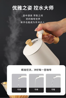 Bouilloire à bec de cygne 600/350 ml pour café et thé, en acier inoxydable 304, avec poignée en bois et couvercle, portable, pour infusion par le dessus