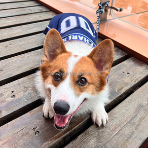 Guangzhou venta al por mayor verano gato cachorro fútbol <span class=keywords><strong>Jersey</strong></span> perrito trajes perro moda ropa para mascotas - Product Image 4