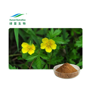 Meilleur Prix 10% Polysaccharides Pur Naturel <span class=keywords><strong>Potentilla</strong></span> Chinensis Extrait pour Santé Alimentaire - Product Image 1