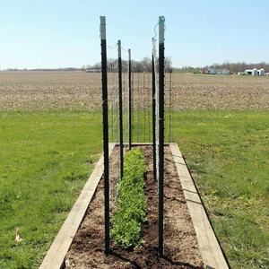 Postes de Acero Pintados de 6, 7 y 8 Pies para Cercas Agrícolas y de Granja - Product Image 5