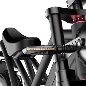 2024 nueva motocicleta eléctrica equipada con neumático grueso de 20 pulgadas con ciclomotor alimentado por batería de litio de 48V 12Ah - Product Image 3