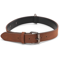 Collier de luxe en métal et cuir pour chien Aston Group avec photo et lettre personnalisées pour petits et grands chiens Accessoires pour animaux de compagnie