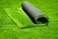 Kunstrasen-Teppich 10mm Weicher Landschaftsrasen für Sport & Garten Fitnessstudio-Nutzung mit PE & PP Material