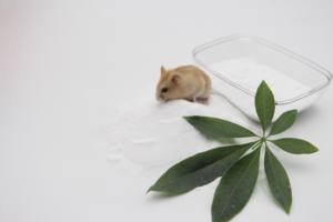 Sable de bain pour hamster Dongnai PETS 100% naturel, écologique, jetable dans les toilettes, infusé à la lavande, fabriqué à partir de dolomite - Product Image 5