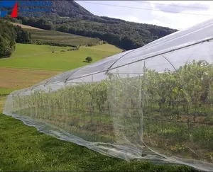 Sera meyve için HDPE böcek önleyici sineklik plastik örgü UV dayanıklı sera böcek geçirmez net