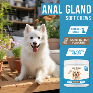 OEM Herbal Supplements for Pet Dogs Hot Selling Product Supporting Digestive Health and Intestinal &amp; Anal Gland Cleansing