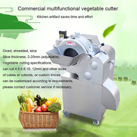 Fruitsnijder Snijmachine/Multifunctionele Compacte Groentehakselsnijder/Voedselsnijder Commerciële Groentehakselmachine