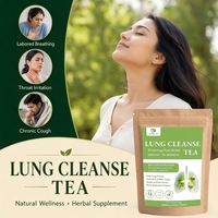 Sachets de thé détoxifiant pour les poumons à marque privée, pour le soutien respiratoire et le bien-être pulmonaire, mélange naturel de plantes, 20 unités, vente en gros, OEM