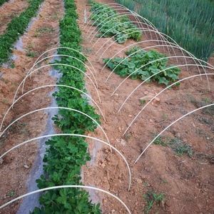 Que sợi thủy tinh nông nghiệp vòm đổ khung nhà kính thực vật que sợi thủy tinh cực vòm nhỏ đổ - Product Image 5