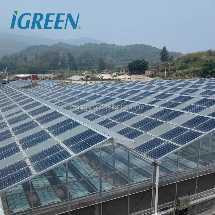 Billige Photovoltaik passive Solar glas Polycarbonat platte Gewächshaus landwirtschaft lich für Aquaponik-System