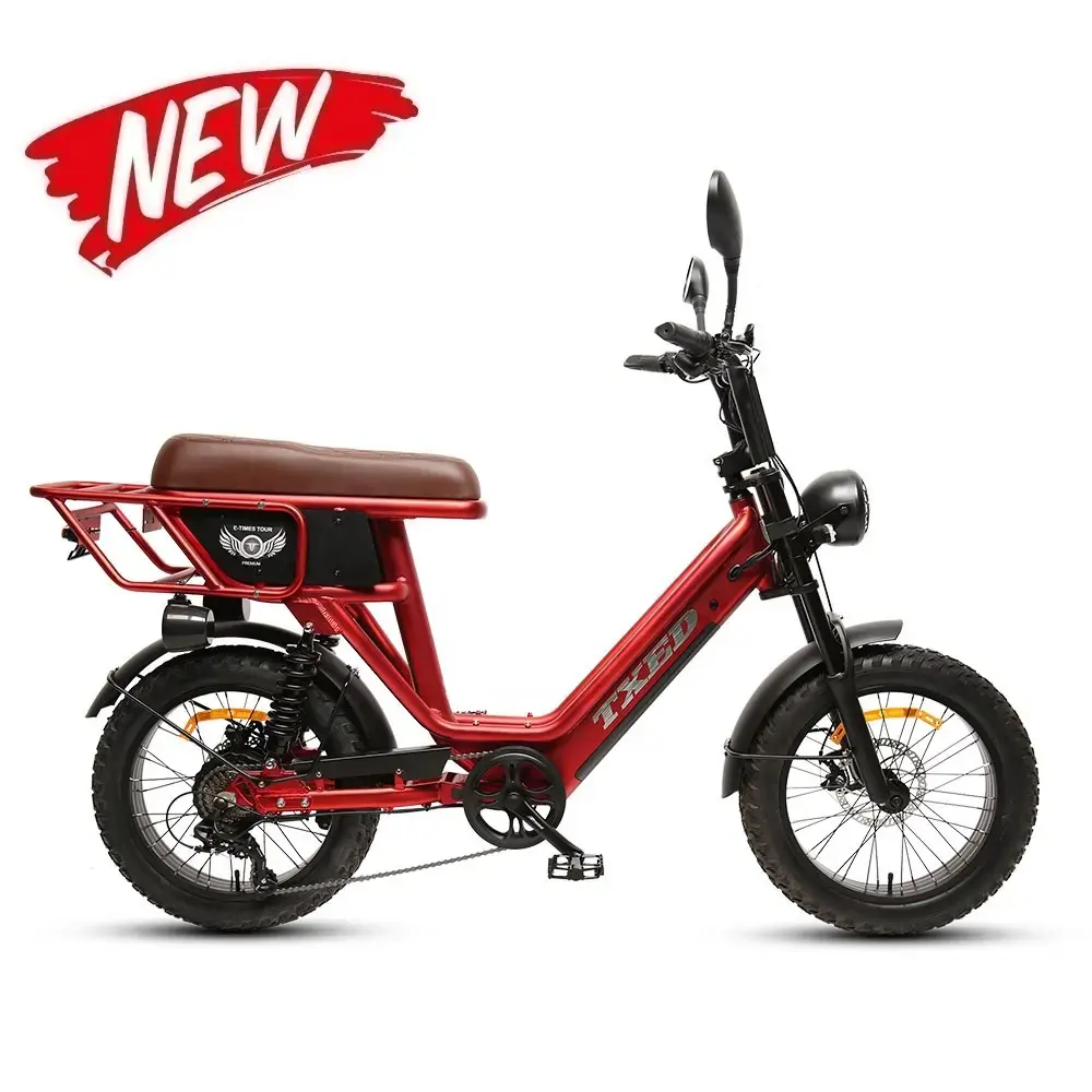 TXED 산악 도로 Ebike 500W 모터 13Ah 전기 자전거 20 인치 뚱뚱한 자전거 전기 오토바이