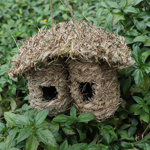 Nichoir carré pour oiseaux en herbe 21x10x20 cm pour décorations de jardin - Product Image 3