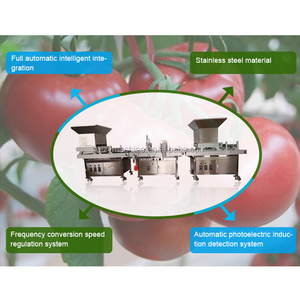 Semoir automatique, machine à planter des graines, machine à semer en pépinière - Product Image 2