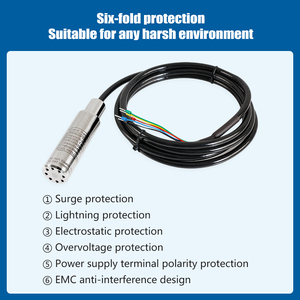 Cảm Biến Mức Nhiên Liệu Diesel Chìm Holykell 4-20ma Rs485 - Product Image 6